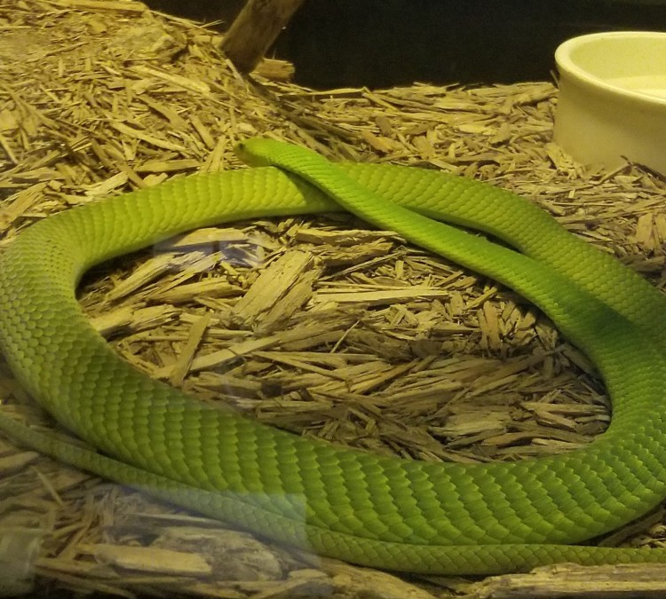 Kentucky Reptile Zoo (Slade,&nbspKY)